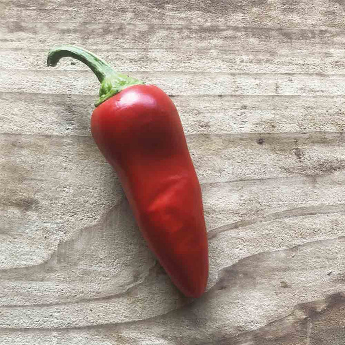 Piment Gorria Type Espelette