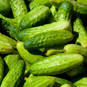 Cornichon Petit vert de Paris