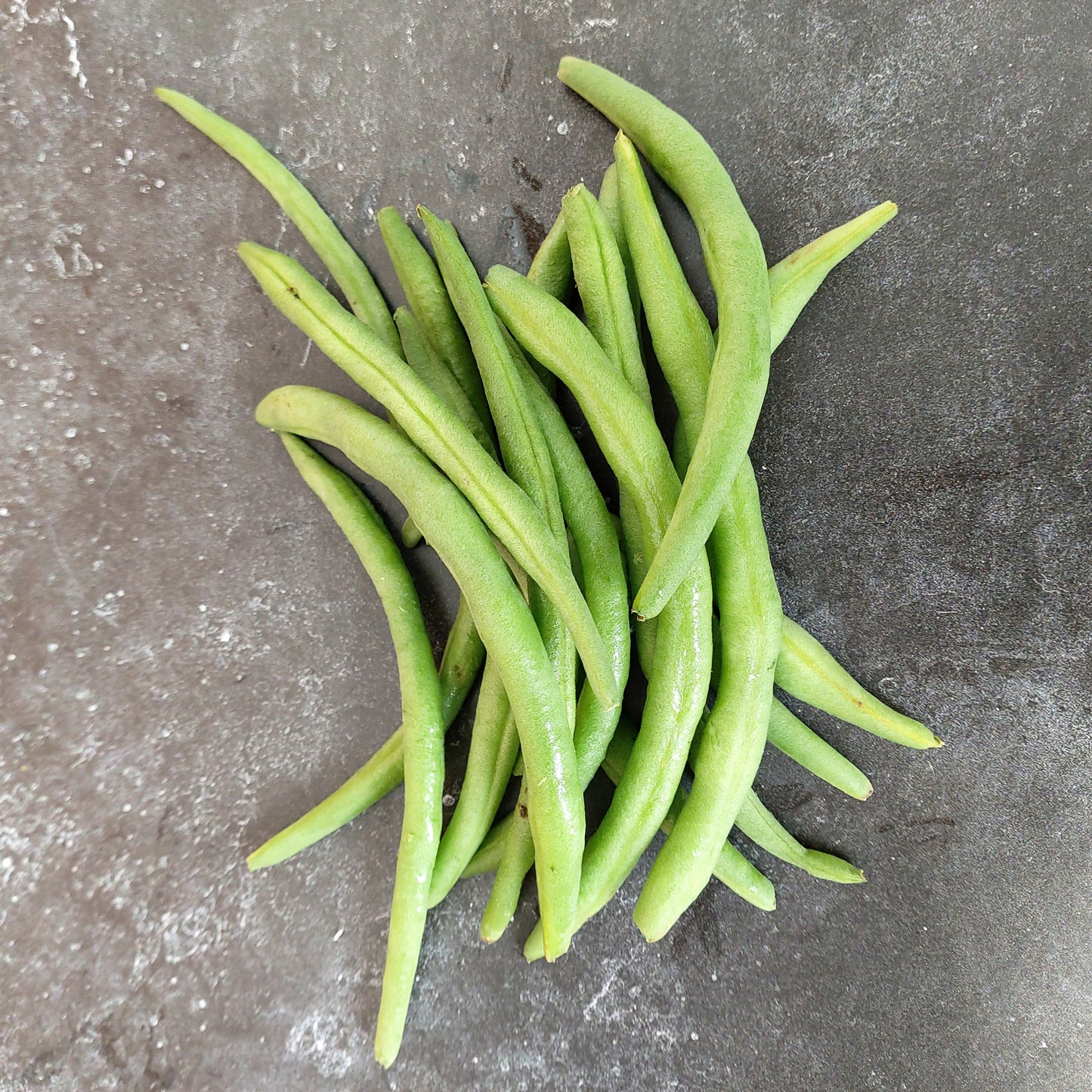 Haricot fin mangetout Cupidon