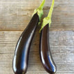 Aubergine de Barbentane