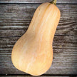 Courge Musquée Butternut