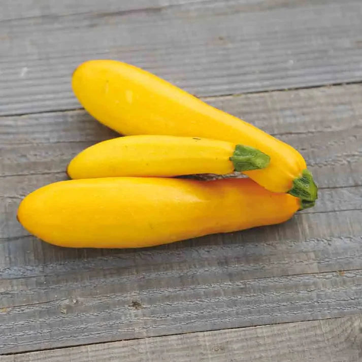 Courgette Jaune