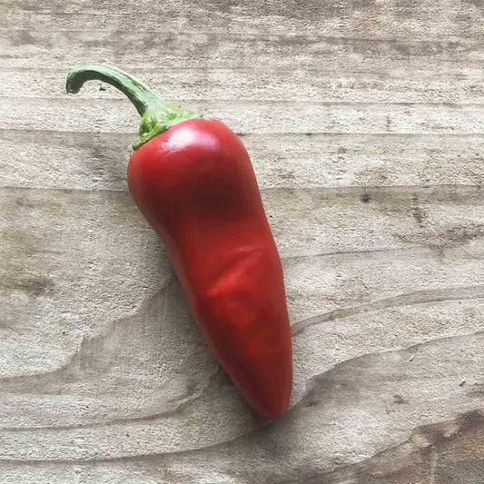 Piment Gorria Type Espelette