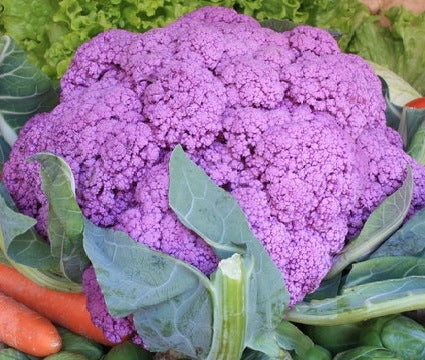 chou-fleur Violet de Sicile
