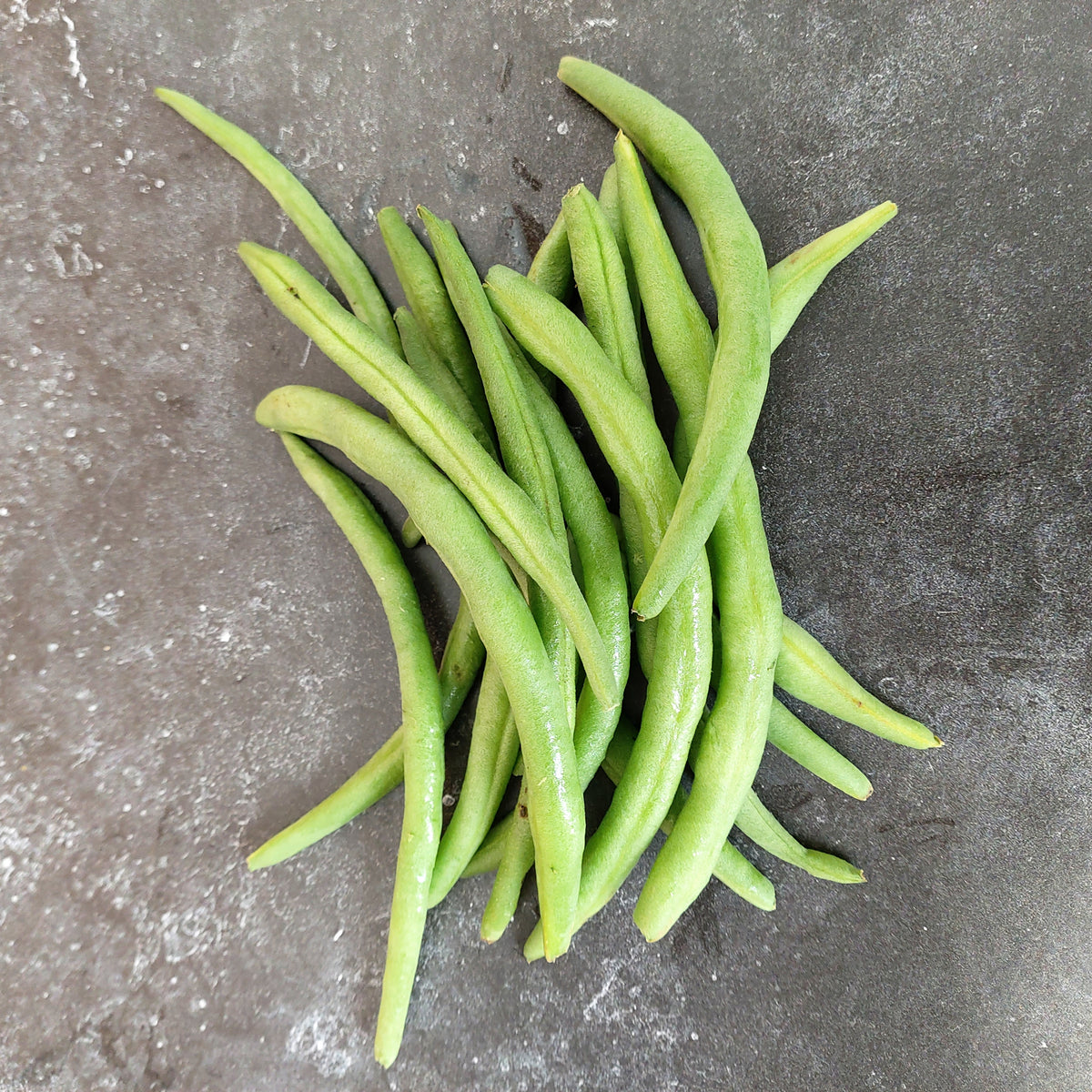 Haricot fin mangetout Cupidon