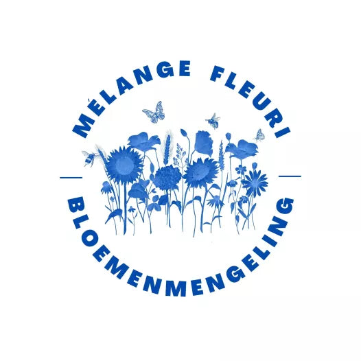 Mon jardin de fleurs d'ombre