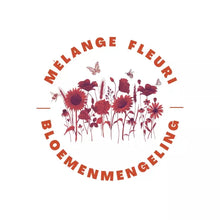 Mon jardin de fleurs vivaces et mellifères