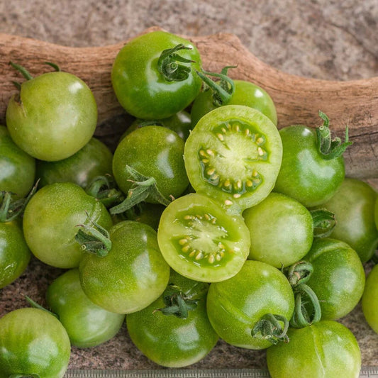 Tomate cerise Green Doctor Frosted