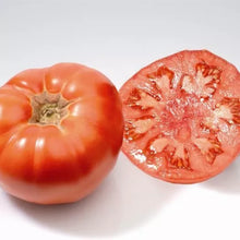 Tomate  Marmande